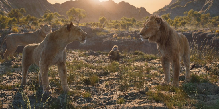 Lire la suite à propos de l’article [Ciné-Goûter de Noël] Mufasa : le roi Lion – DIMANCHE 22 DECEMBRE – 14H30 – dès 7 ans – VF