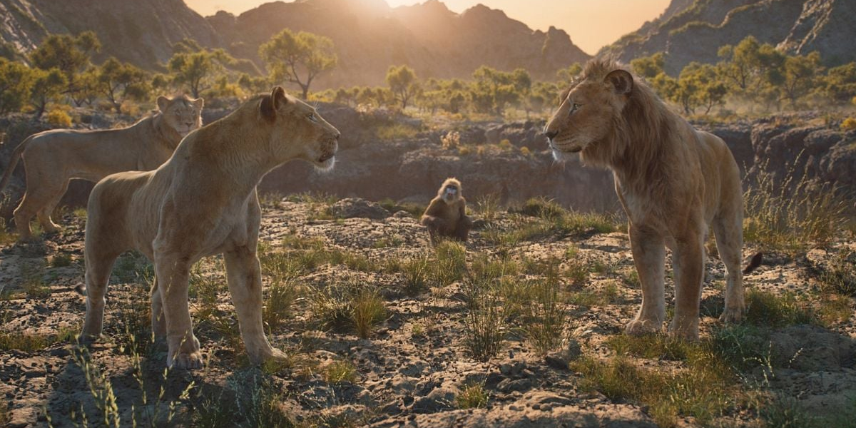 You are currently viewing [Ciné-Goûter de Noël] Mufasa : le roi Lion – DIMANCHE 22 DECEMBRE – 14H30 – dès 7 ans – VF