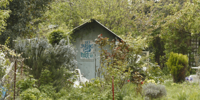 Lire la suite à propos de l’article La terre des vertus – JEUDI 3 JUILLET – 20H30 – Echange après la séance avec l’association cestadaise de permaculture SemoPerma – 6,20€