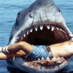Les dents de la mer – MARDI 28 OCTOBRE – 20H50 + QUIZ – Interdit aux – de 12 ans – 6,20€