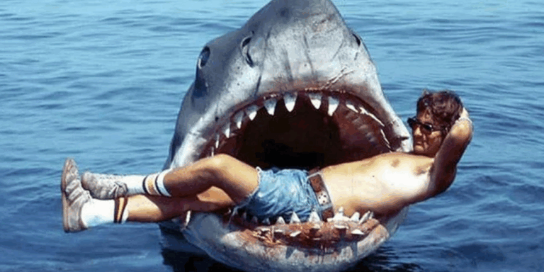 Lire la suite à propos de l’article Les dents de la mer – MARDI 28 OCTOBRE – 20H50 + QUIZ – Interdit aux – de 12 ans – 6,20€