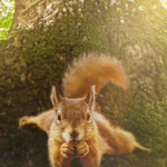 Le Chêne – MARDI 6 JANVIER – 20H – Ciné-famille – dès 4/5 ans – 4€ (tarif unique)