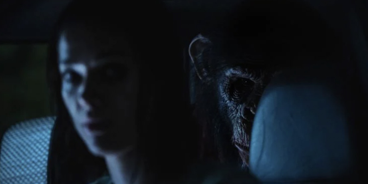 Lire la suite à propos de l’article Primate – VENDREDI 6 FEVRIER – 20H40 – Vendredi de l&rsquo;horreur – Interdit aux – de 16 ans – en VF