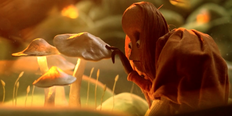 Lire la suite à propos de l’article L&rsquo;Etrange forêt de Bert et Joséphine – JEUDI 16 AVRIL – Séance à 15H suivie à 16H d&rsquo;un goûter et d&rsquo;un atelier « traces d&rsquo;animaux » animé par Laetitia, animatrice nature de la ville – dès 4/5 ans, sur réservation